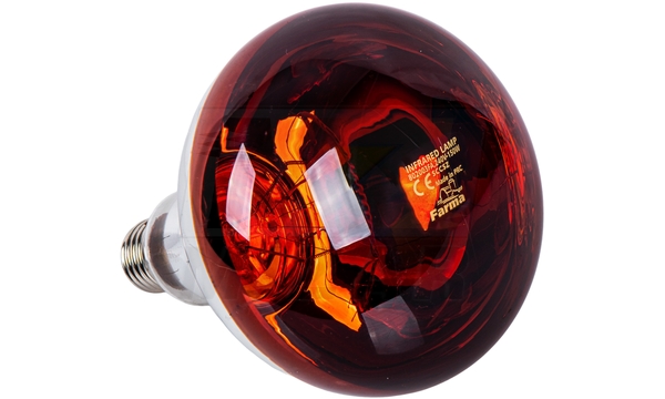 Lampa grzewcza dla zwierząt E27 100W czerwona KWOKA promiennik podczerwieni HardGlass Farma